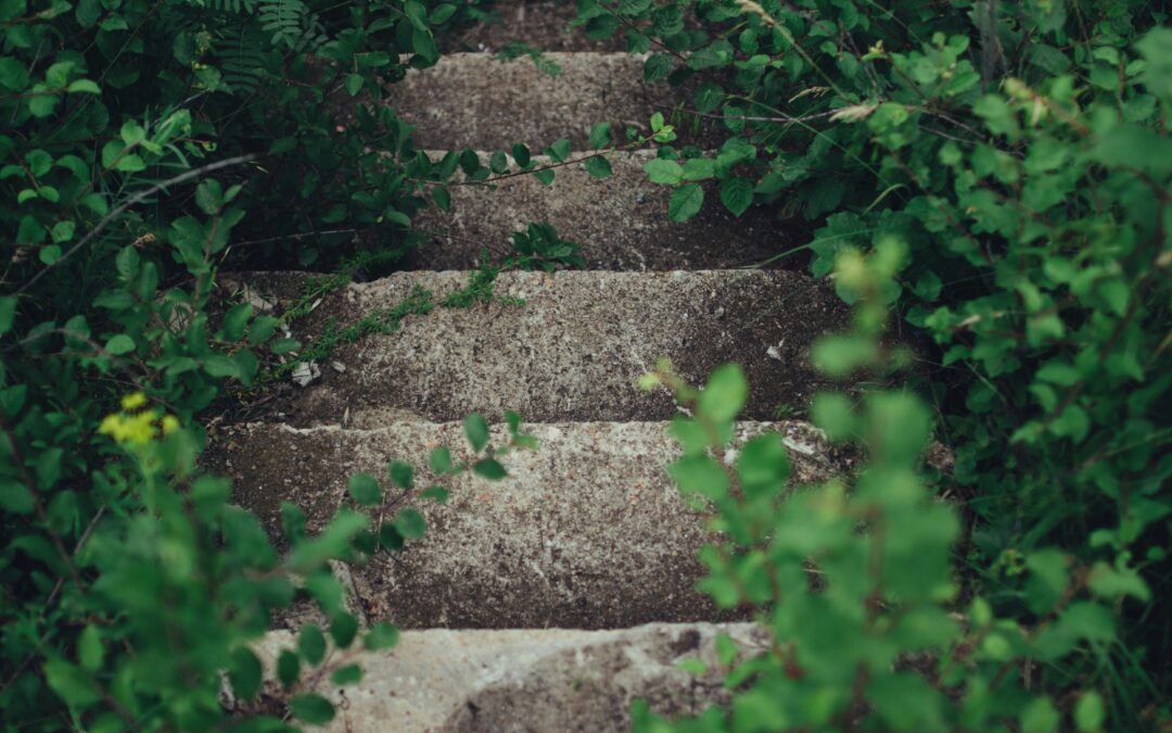 Key Goal Principle: Take the Next Step (Español Abajo)