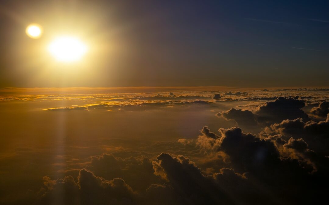 Creating a Cell Atmosphere Where Transparency Flourishes